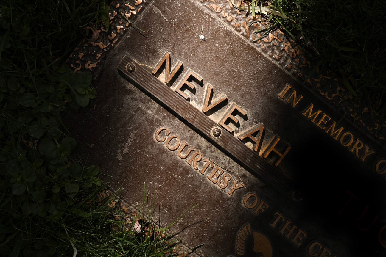 A 'stain' on Ontario's child welfare system:  Advocates renew calls for accountability in death of Neveah, girl found in Rosedale dumpster